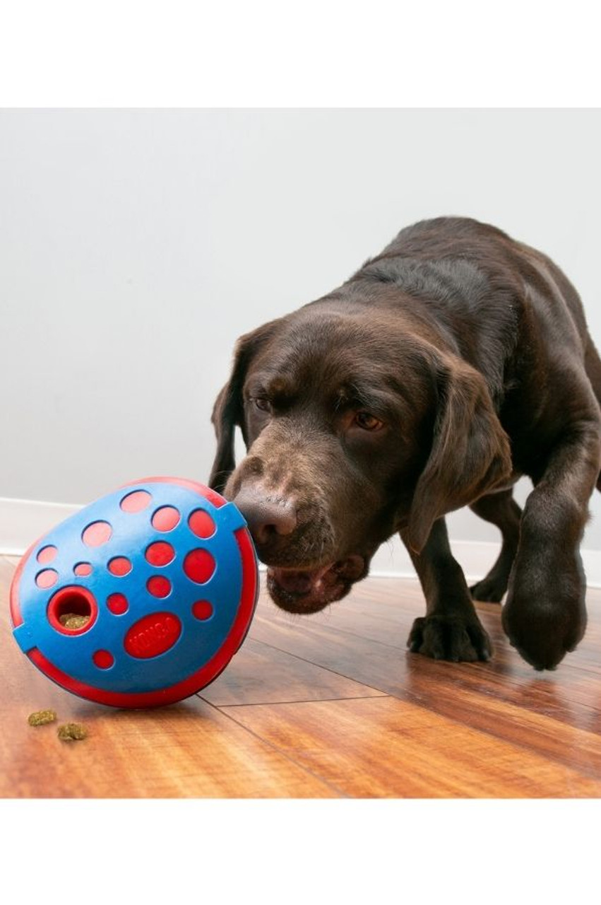 KONG Bamboo Feeder - Dog Treat Dispenser 