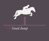 Understanding Equestrian Judges’ Scores