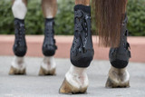 Horse Boots & Bandages 101