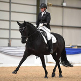 Meet Amanda Shirtcliffe, our Great British Sponsored Para Dressage Rider