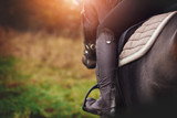 An English Saddle Pad Buying Guide