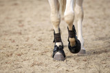 Horse Boots & Bandages Buying Guide