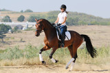 How Much Weight Can Your Horse Carry? Horse Rider Weight Calculator