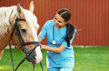 Common Equine Diseases and How to Go About Treatment