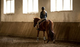 7 Important Horse Riding Lessons for Beginners