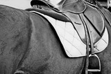 How To Choose The Right Saddle Pad For Your Horse