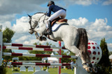 Treat Your Horse Like The Athlete They Are