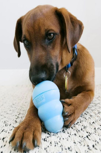 KONG Dog Toys: Are They Worth Buying, According To Reviews? - Paw