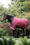 Horseware Rambo Original Turnout Blanket with Leg Arches 0g - Burgundy/Teal & Navy