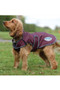 WeatherBeeta Comfitec Windbreaker Free Deluxe Dog Coat - Maroon/Grey/White