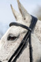 LeMieux Competition Flash Bridle - Black - Detail 1 - Lifestyle