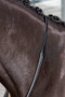 LeMieux Kris Extreme Rubber Reins - Black - Lifestyle