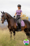 LeMieux Earth Dressage Saddle Pad in Thistle - Lifestyle