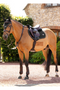 LeMieux Puissance Suede Close Contact Saddle Pad - Black - Lifestyle