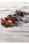 Kong Training Dummy Floating Dog Toy in Orange