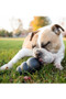 KONG Extreme Dog Toy - lifestyle