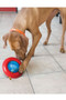 KONG Gyro Treat Dispensing Dog Toy in Red/Blue - Lifestyle