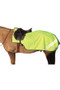 Hy Equestrian Reflector Fleece Exercise Sheet in Yellow