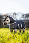 Mini LeMieux Pony Toy Storm-Tek Blanket - Navy - Lifestyle