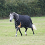 Shires Highlander Plus Turnout Blanket 200g - Black - Horse