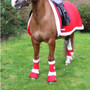 Hy Equestrian Christmas Santa Over Reach Boots in Red - front