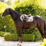 LeMieux Loire Classic Close Contact Saddle Pad - Fern- Lifestyle