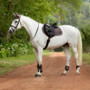 LeMieux Loire Classic Close Contact Saddle Pad - Walnut - Lifestyle