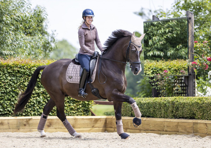 Choosing A Saddle Pad