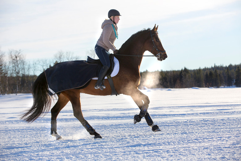 Four Ways to Ensure a Safe Exercise Routine for Your Horse This Winter