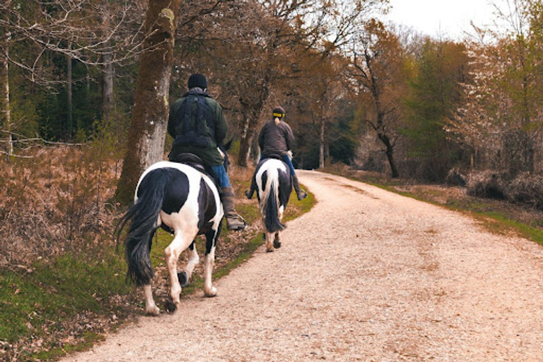 How to Become a Better Horse Rider