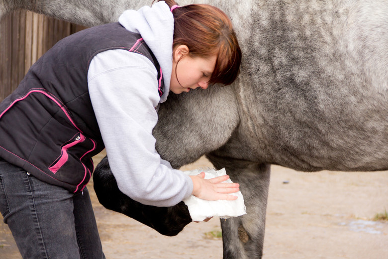 Equine First Aid – Being Prepared