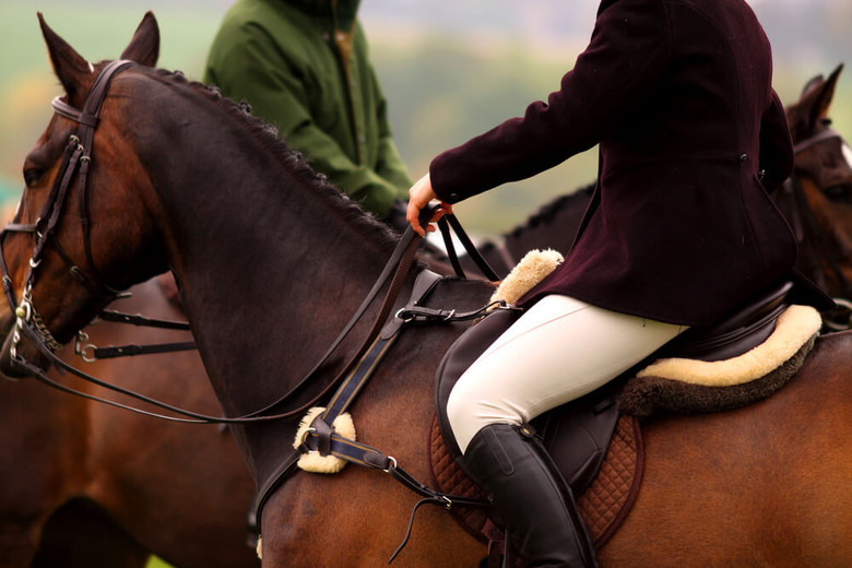 What's The Difference Between Jodhpurs, Riding Tights & Breeches?