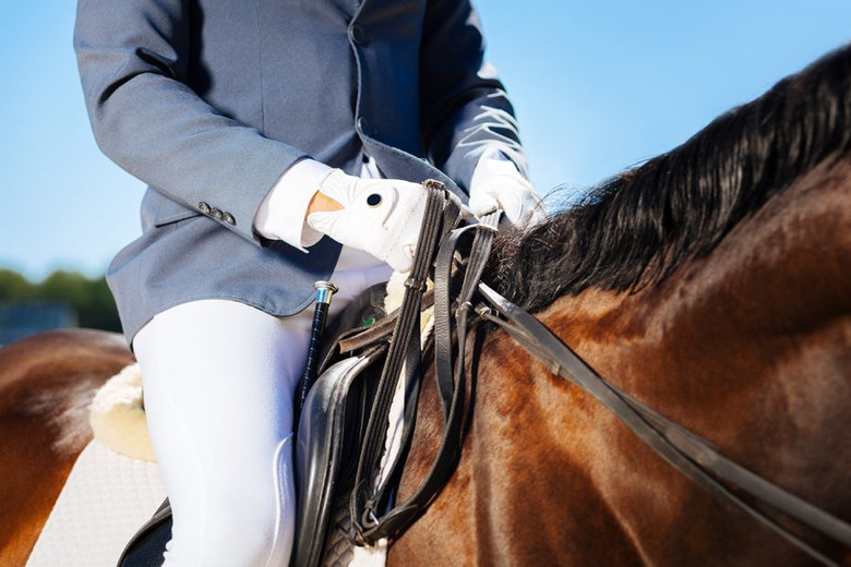 Traditional vs. Modern: The Evolution of British Equestrian Riding Styles 