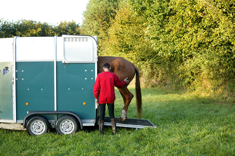 Tips for Hauling or Traveling Long Distances with Your Horse