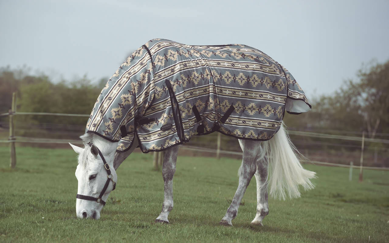 Horse Blankets