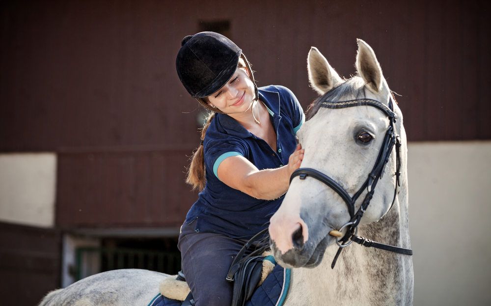 Should You Use A Gel Saddle Pad For Your Horse? - Country & Stable