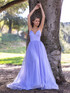 Deep V-Neck Spaghetti Straps Floor Length Tulle Prom Dress