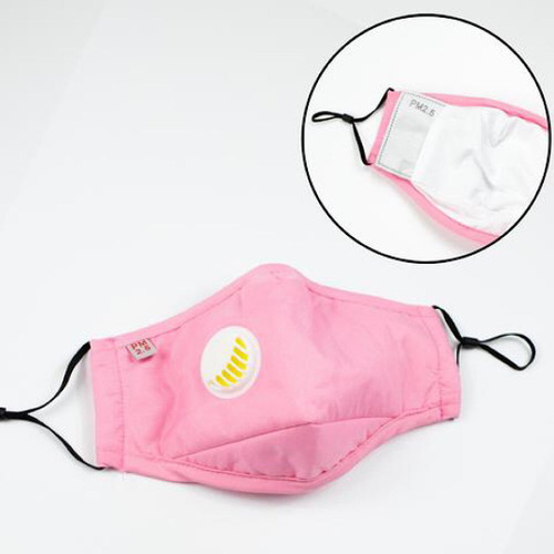 Face Mask with One PM2.5 Insert - Light Pink