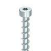 HECO Cylindrical Head Screws | 10mm Silver Zinc Cylindrical Head Screws with T40 Drive for Mass Timber Structures, Glulam Beams Screws and Fasteners