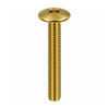 RAMPA KT 6 x 30 mm M6 Mushroom Head Brass Hex 4 mm Screw - Front