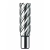 BOHRCRAFT 1950 Annular Cutter 31mm x 50mm 3/4" Weldon Shank – front view; HSS, Application Hole Cutting, Features 50mm Overall Length, Range PROFI PLUS