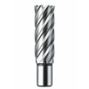 BOHRCRAFT 1950 Annular Cutter 17mm x 50mm 3/4" Weldon Shank – front view; HSS, Application Hole Cutting, Features 50mm Overall Length, Range PROFI PLUS