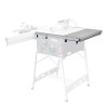 A complete ERIKA 60 Table Saw Extension (208437) with 650mm supporting rails  (201309) to suit.