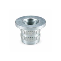 RAMPA TS Knock-in Insert 12.6mm M10 12mm Steel Silver Zinc