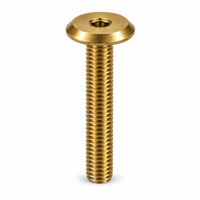 RAMPA KF Bolt Flat Head M6 20mm Hex 4 mm Brass