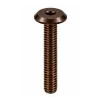 RAMPA KF Bolt Flat Head M6 75mm Hex 4 mm Steel Brown Coated