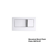 Evora Rimless Wall Hung Toilet