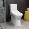 Tivoli Raised Height Rimless Toilet Suite