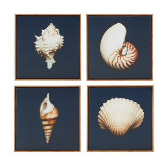 Madison Park Ocean Seashells Blue 4-piece Framed Canvas Wall Art Set