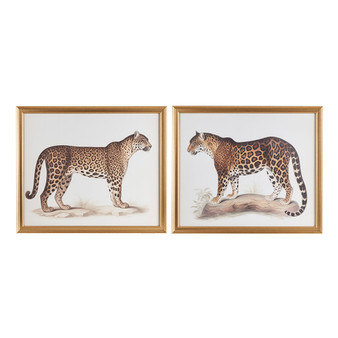 Madison Park The Duel Multi Cheetah Framed Graphic Wall Decor 2 Piece set